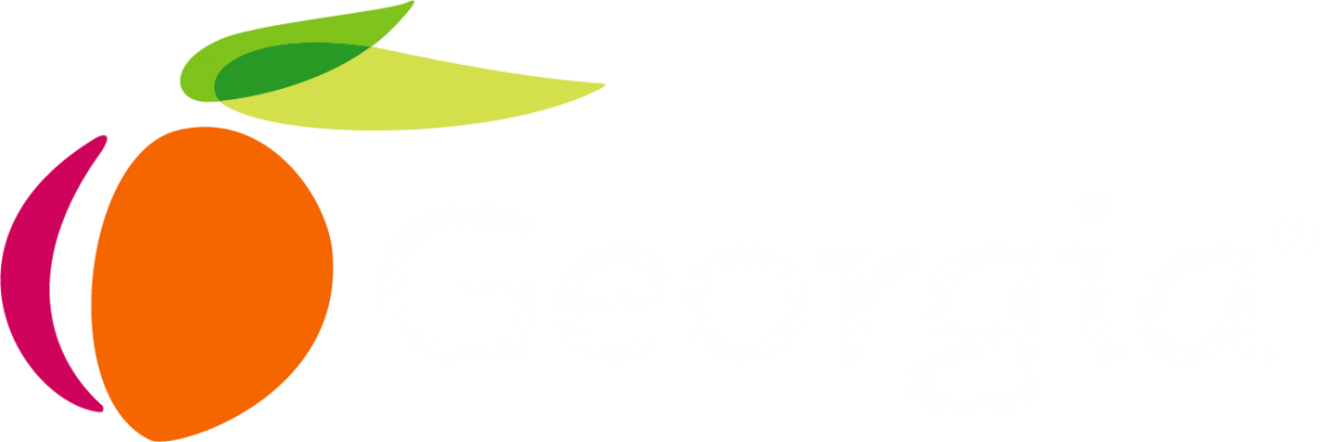 State of Georgia Logo.png